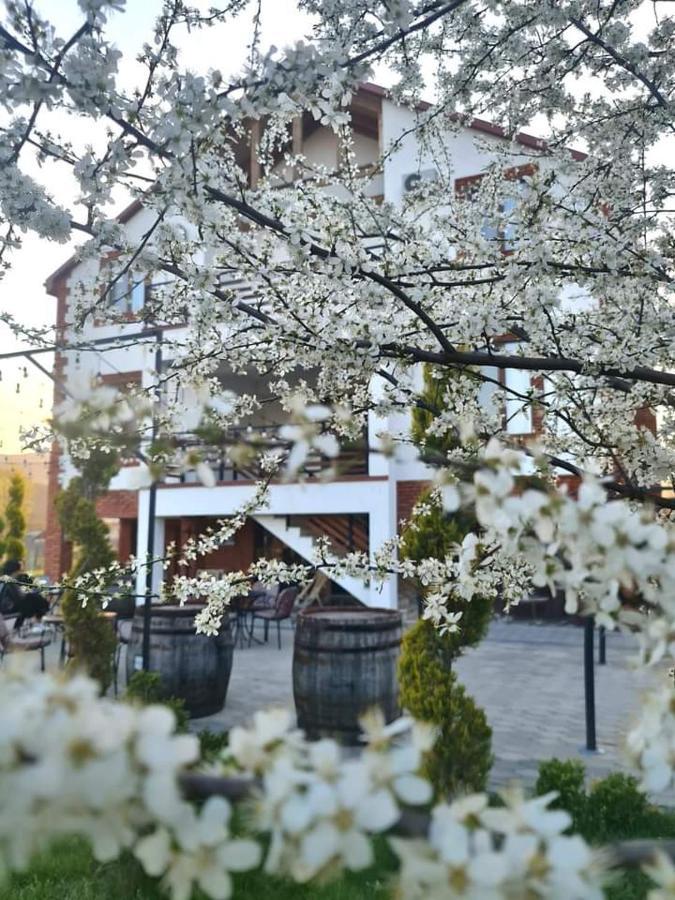 Karse Hotel Ambrolauri Exterior foto